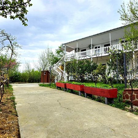 Hilltop Guest House 쿠타이시 외부 사진